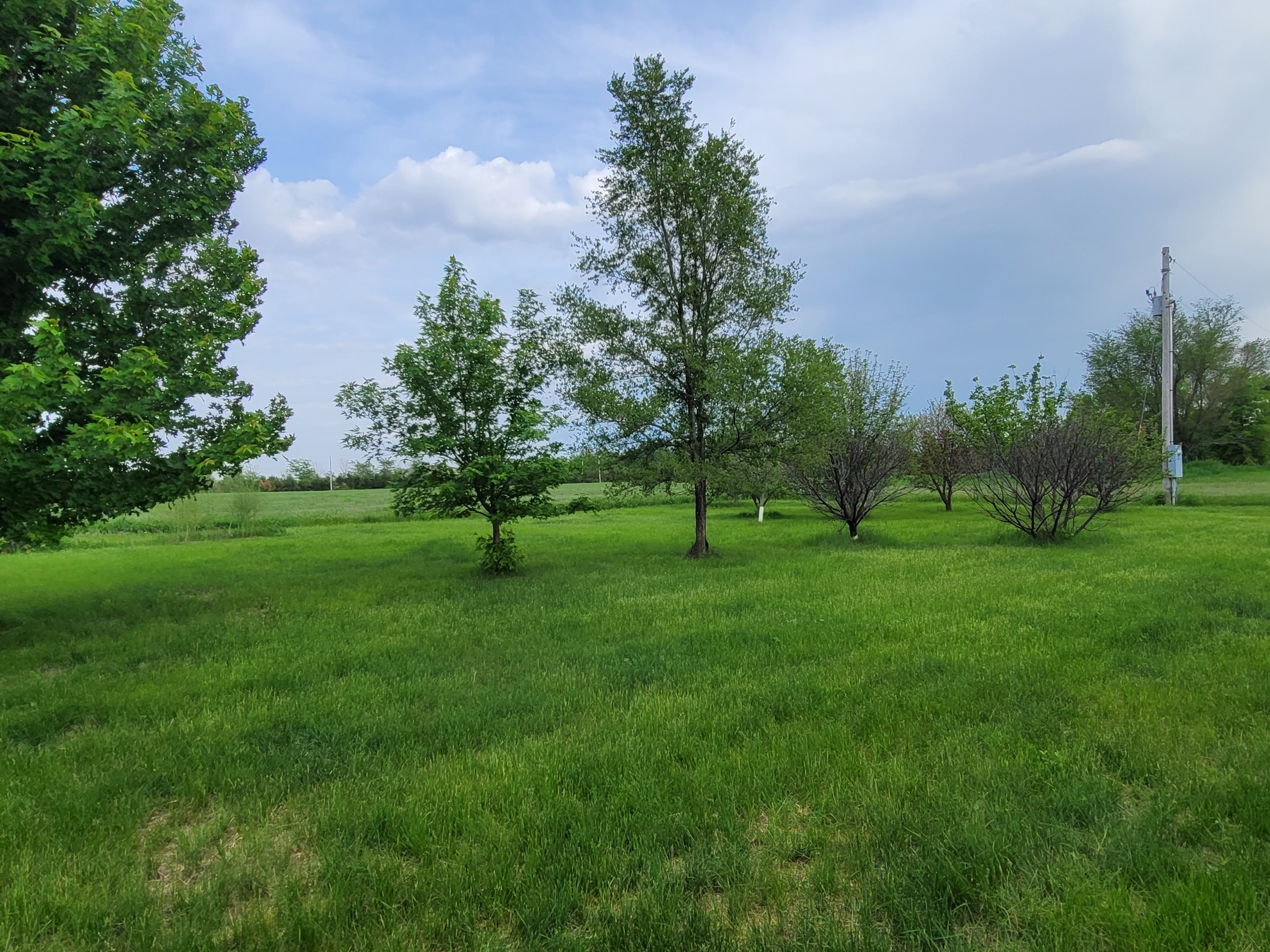 87322 W 2nd Street, O'Neill, NE 68763