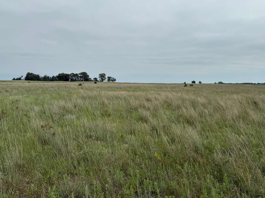 400 +/- Acres, Rock County, NE