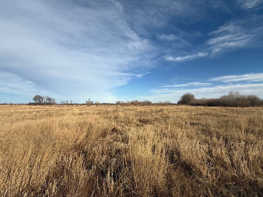 320 +/- Acres, Holt County, Nebraska