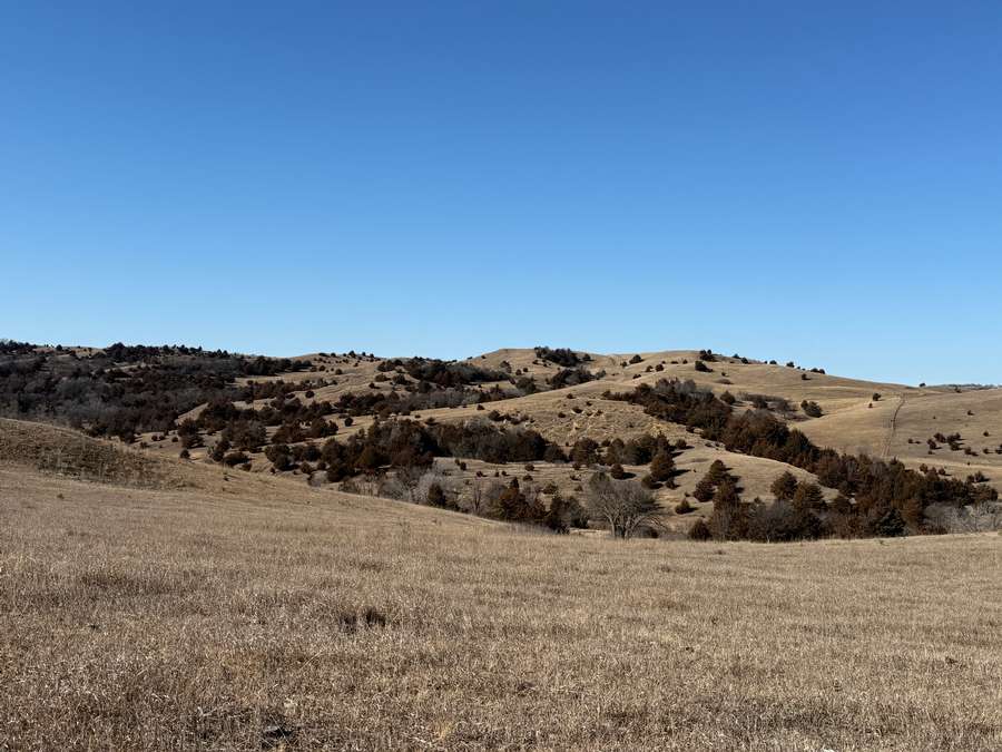 193.04 +/- Acres, Gregory County, South Dakota