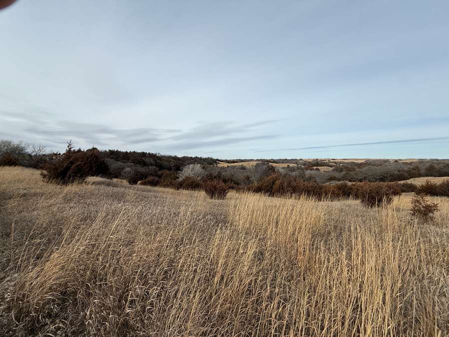 10.49 +/- Acres, Holt County, Nebraska