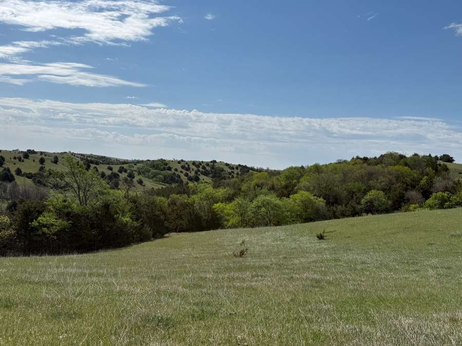 230 +/- Acres, Gregory County, South Dakota