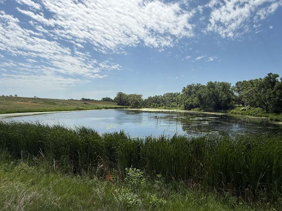 +/- 159 Acres, Holt County, NE