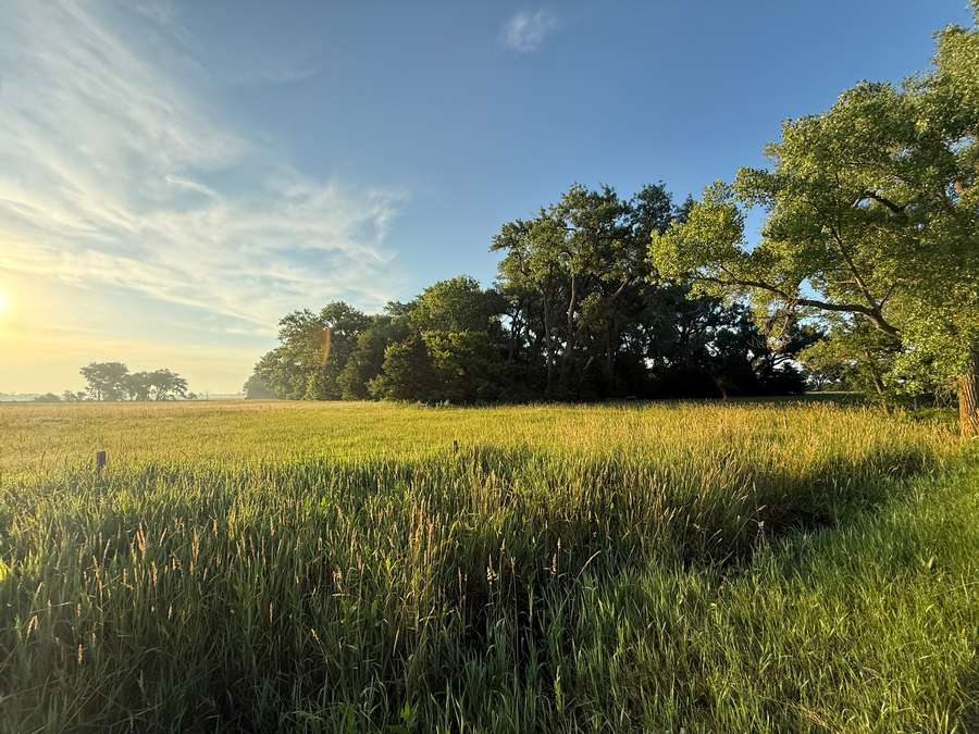 +/- 361.32 Acres, Holt County, Nebraska