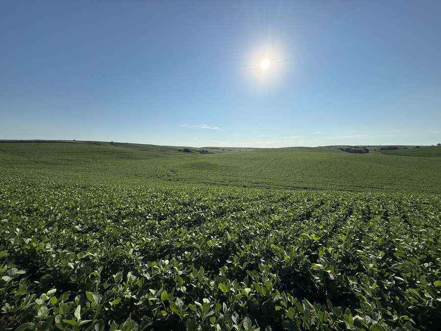 +/- 80.49 Acres, Greeley County, Nebraska