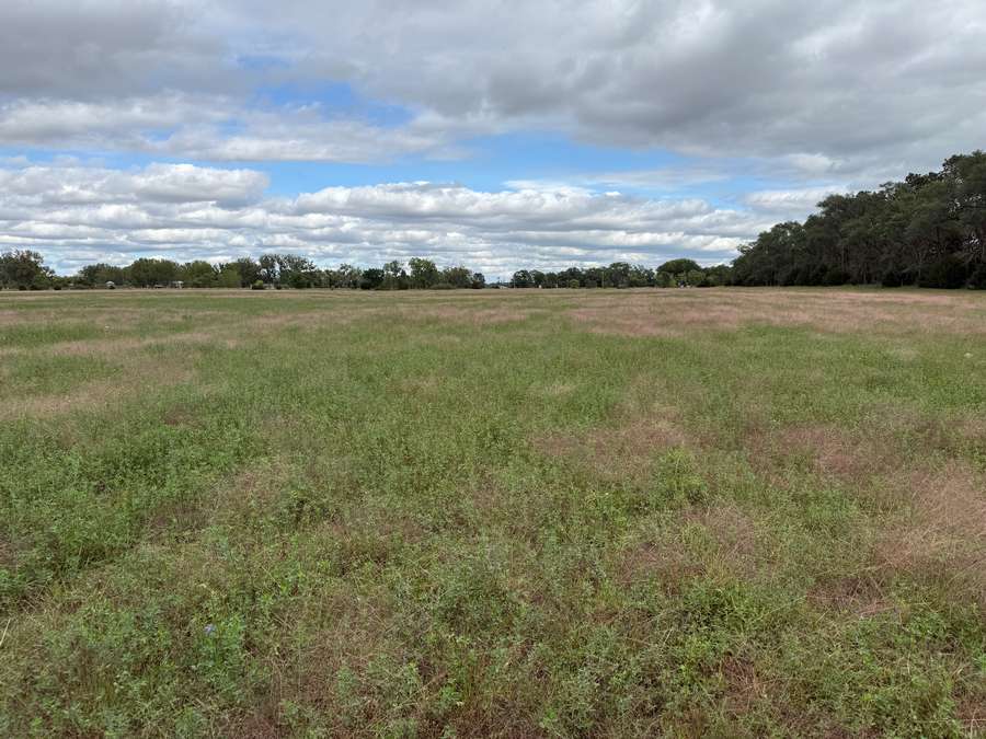 +/- 80.37 Acres, Holt County, Nebraska