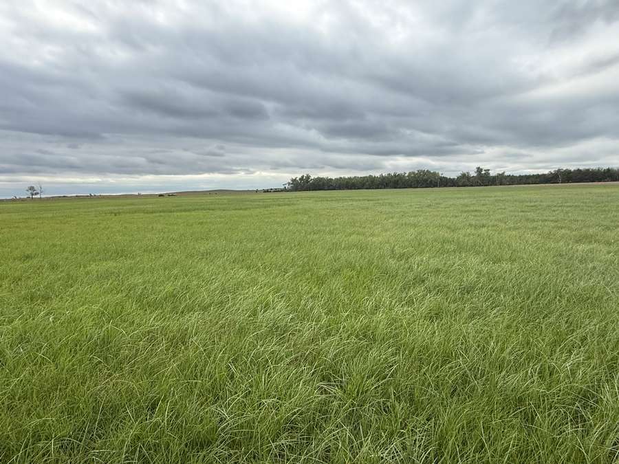 +/- 80 Acres, Holt County, Nebraska