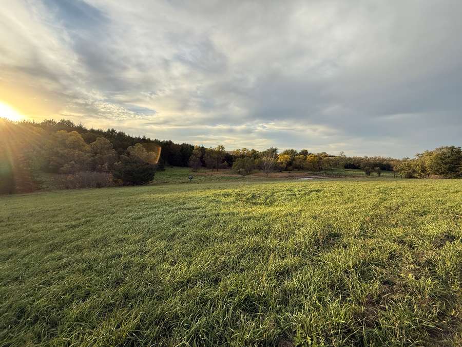 +/- 40 Acres, Knox County, Nebraska