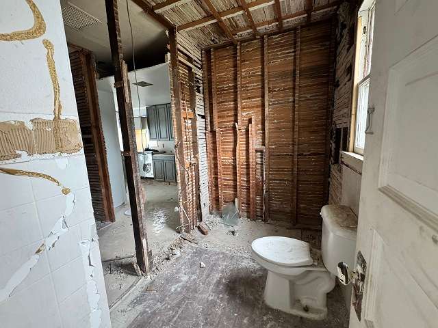 295.jpg