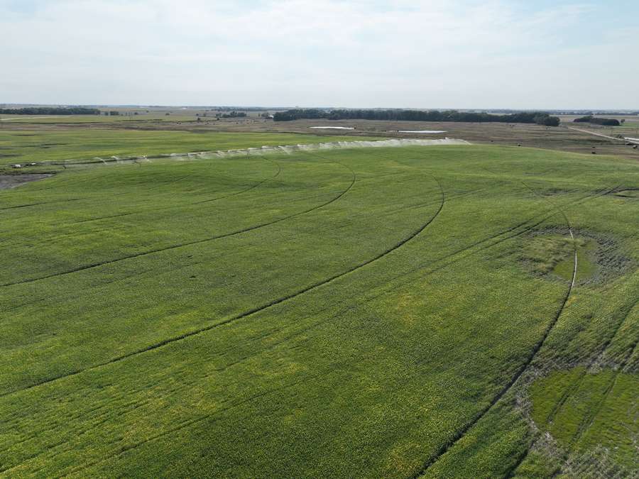 +/- 153 Acres, Rock County, NE