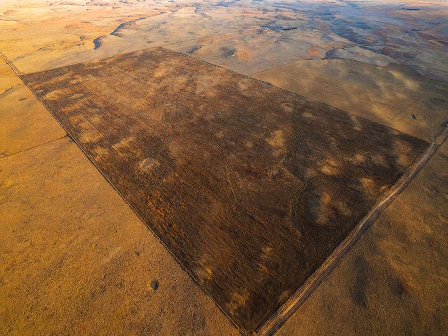 320 +/- Acres  CERTIFIED ORGANIC FARMLAND, Todd County, S. Dakota   Accepting Offers: JANURARY 19th, 2026