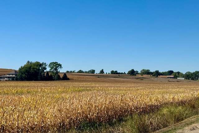 +/- 29.33 Acres, Dodge County, NE