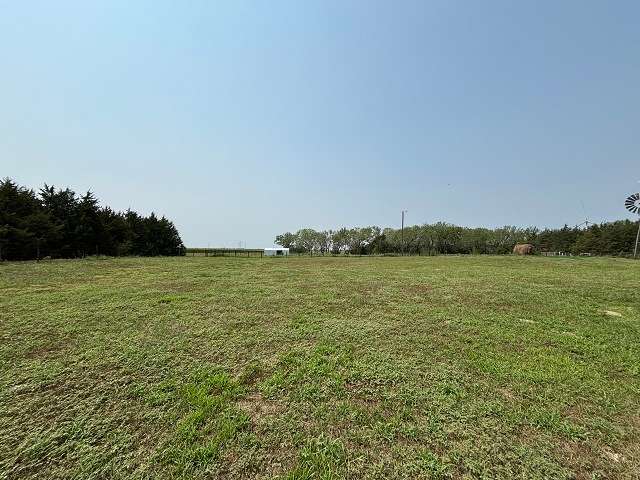 IMG_1914.jpeg