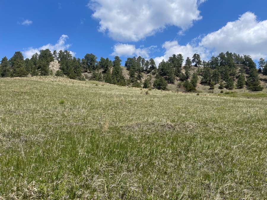 Lots 3 & 4 Spring Creek Rd, Valentine, NE 69201