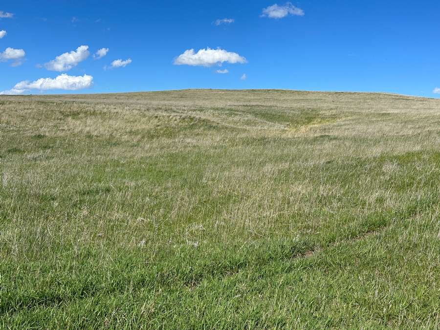 +/- 118.087 Acres, Keya Paha County, NE
