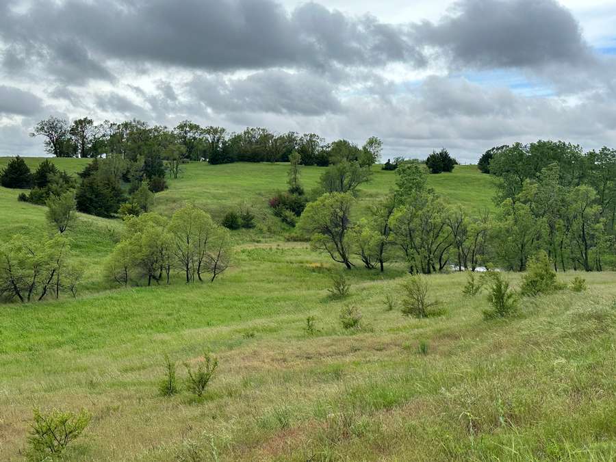 +/- 40 Acres, Antelope County