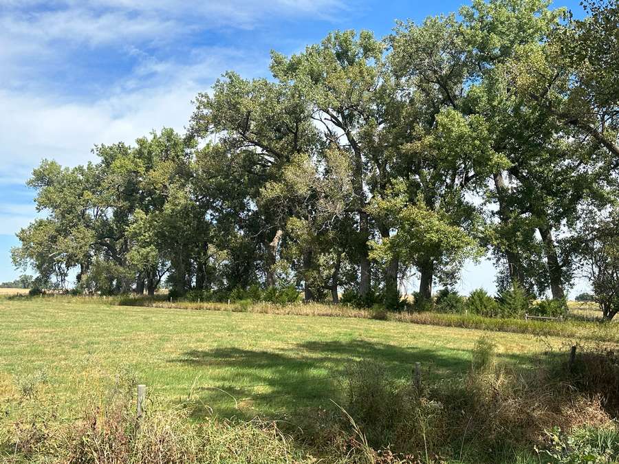 +/- 12.25 Acres, Holt County, NE