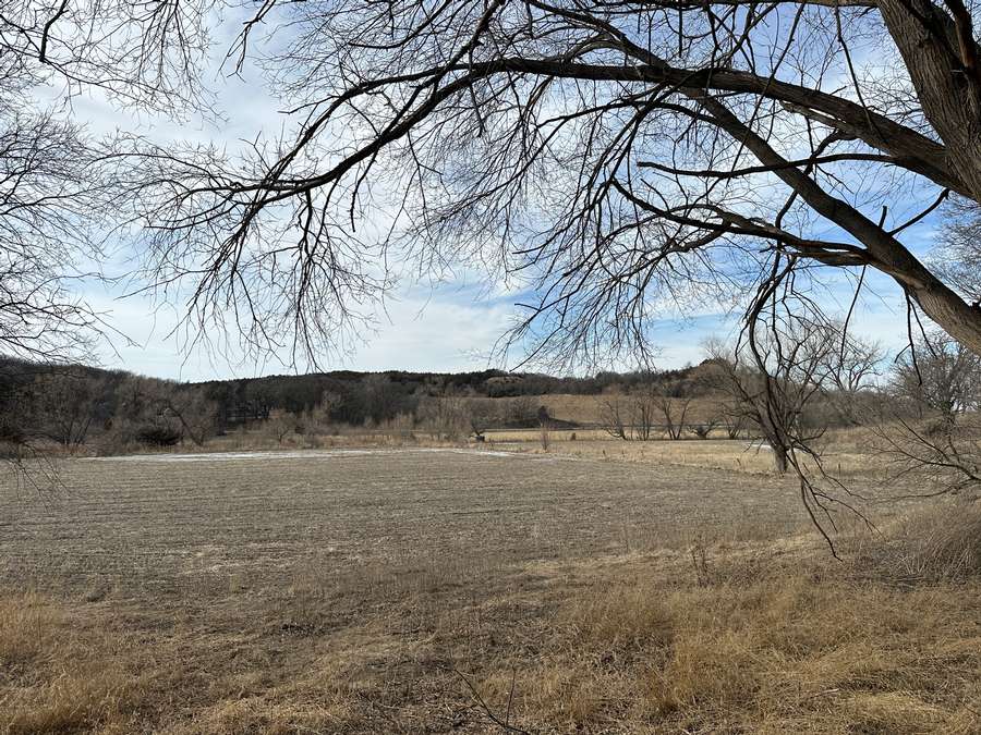 +/- 240 Acres, Cedar County, NE