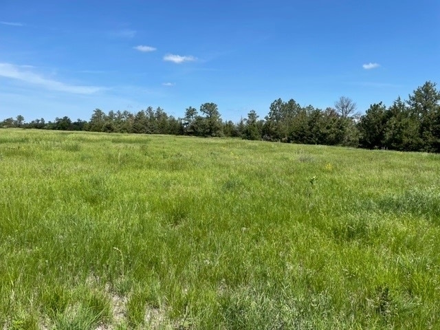 pastures;l.jpg